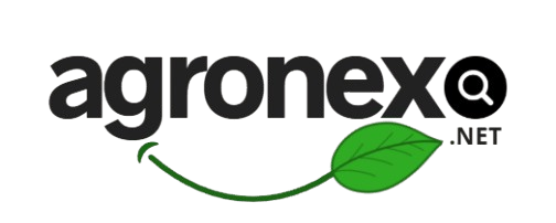 agronexo.net