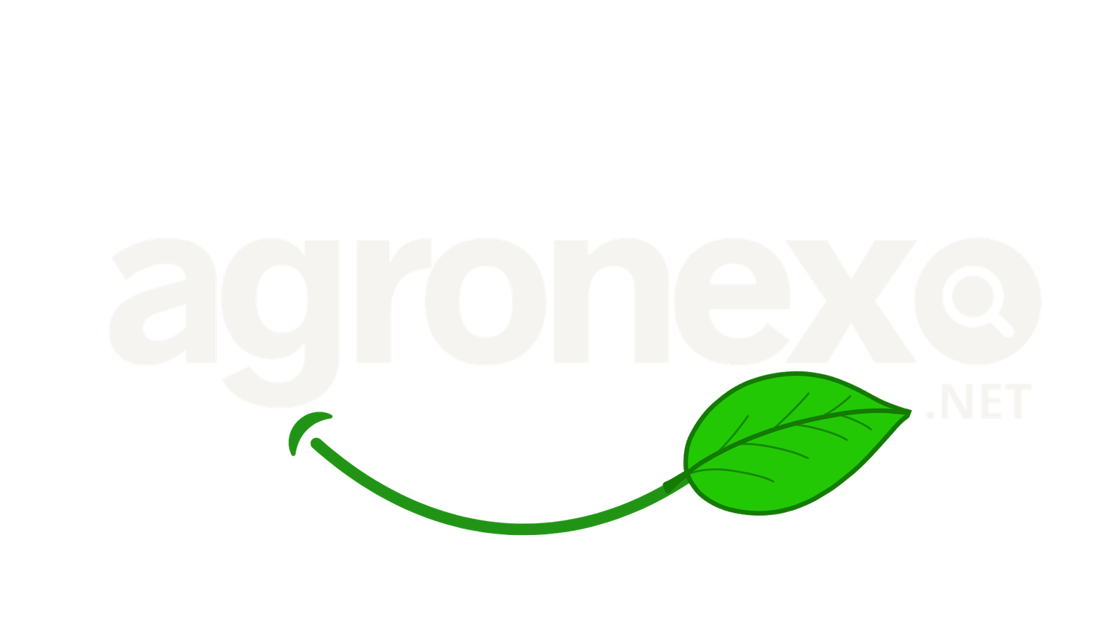 agronexo.net